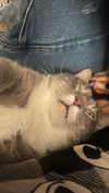 charleygrayyy Altpins Profile Picture