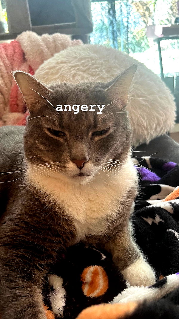 charleygrayyy instagram image archive image
