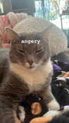charleygrayyy Altpins Profile Picture