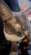 charleygrayyy Altpins Profile Picture