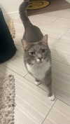 charleygrayyy Altpins Profile Picture
