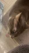 charleygrayyy Altpins Profile Picture
