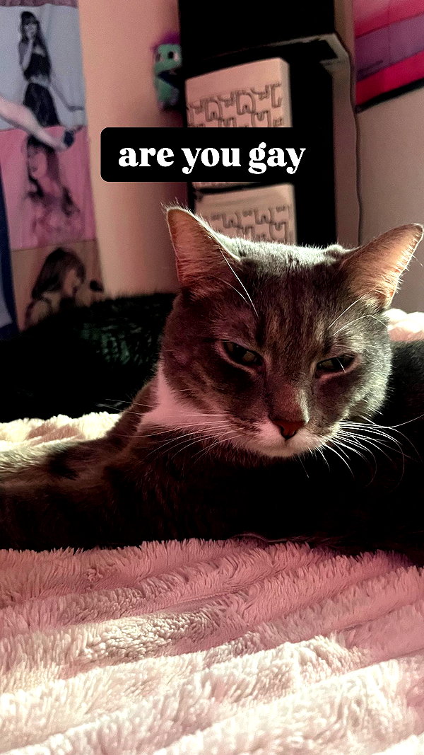 charleygrayyy instagram image archive image
