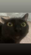 charleygrayyy Altpins Profile Picture