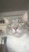 charleygrayyy Altpins Profile Picture