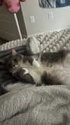 charleygrayyy Altpins Profile Picture