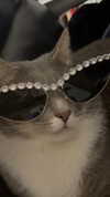charleygrayyy Altpins Profile Picture