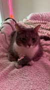 charleygrayyy Altpins Profile Picture