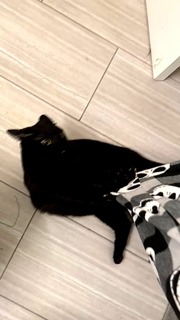 charleygrayyy instagram image archive image