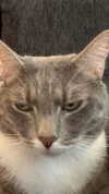 charleygrayyy Altpins Profile Picture