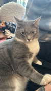 charleygrayyy Altpins Profile Picture