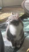 charleygrayyy Altpins Profile Picture