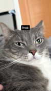 charleygrayyy Altpins Profile Picture