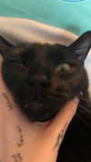 charleygrayyy Altpins Profile Picture