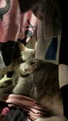 charleygrayyy Altpins Profile Picture