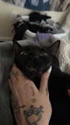 charleygrayyy Altpins Profile Picture