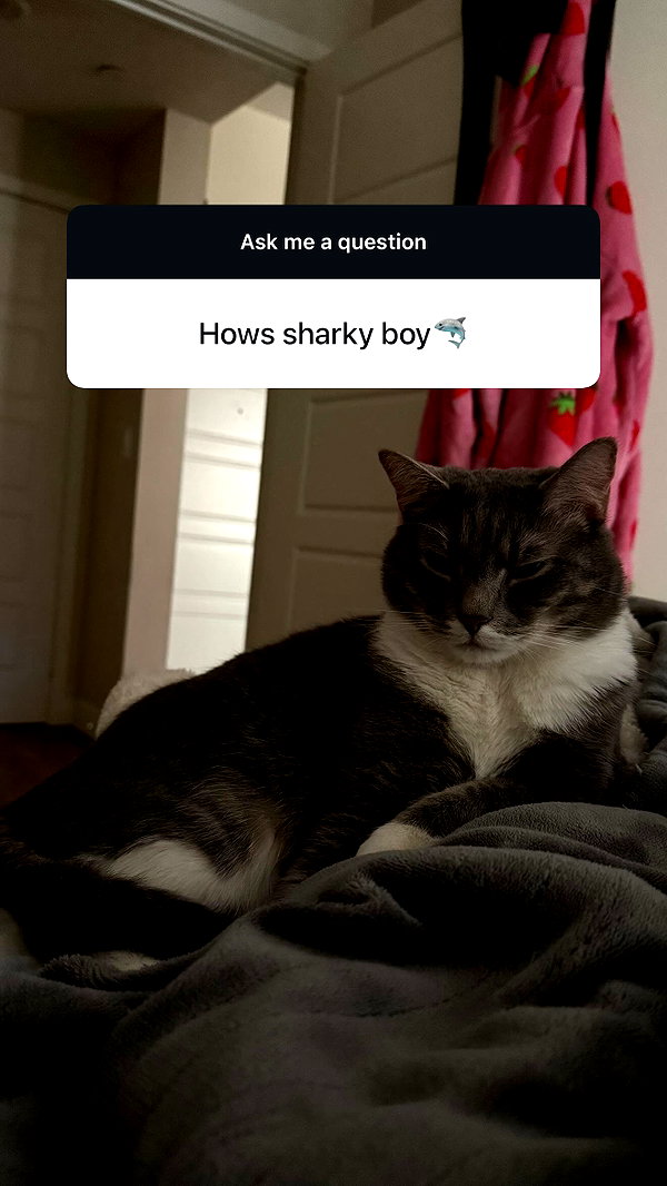charleygrayyy instagram image archive image