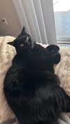 charleygrayyy Altpins Profile Picture