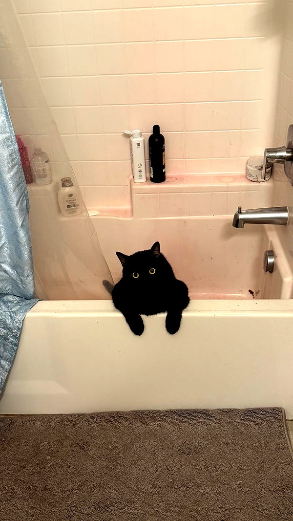 charleygrayyy charleygrayyy archive image