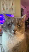 charleygrayyy Altpins Profile Picture
