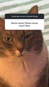 charleygrayyy Altpins Profile Picture