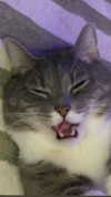 charleygrayyy Altpins Profile Picture