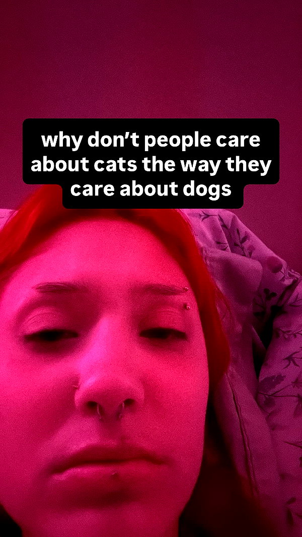 charleygrayyy instagram image archive image