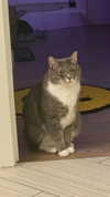 charleygrayyy Altpins Profile Picture
