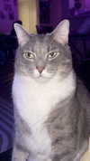 charleygrayyy Altpins Profile Picture