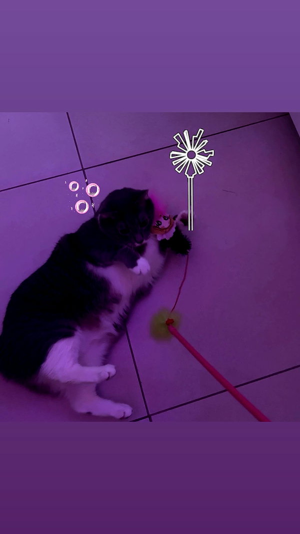 charleygrayyy instagram image archive image