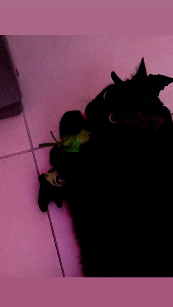 charleygrayyy instagram image archive image