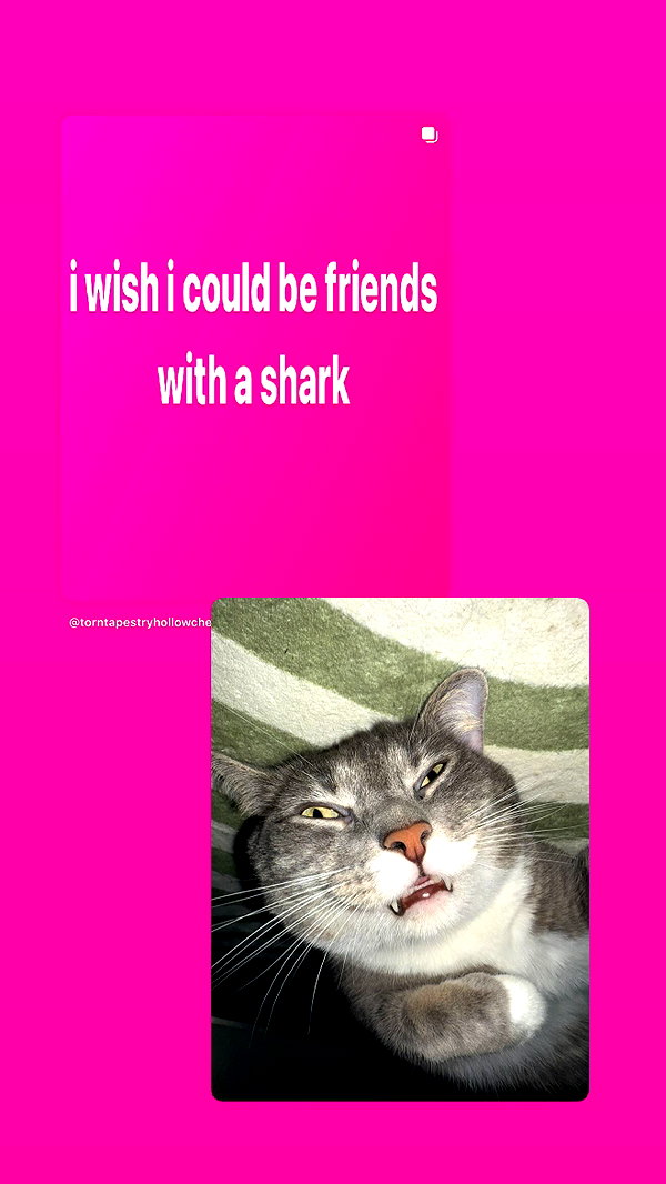 charleygrayyy instagram image archive image