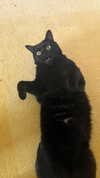 charleygrayyy Altpins Profile Picture