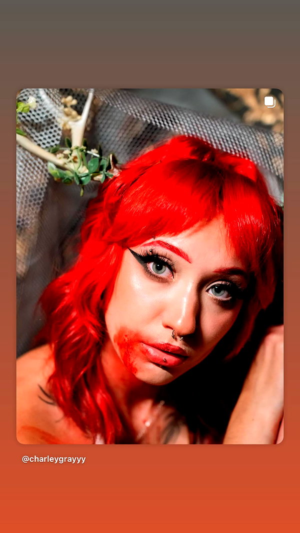 charleygrayyy instagram image archive image