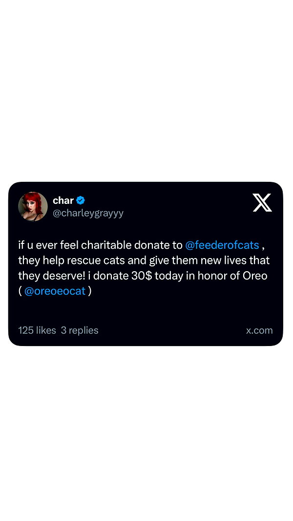 charleygrayyy instagram image archive image