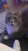 charleygrayyy Altpins Profile Picture