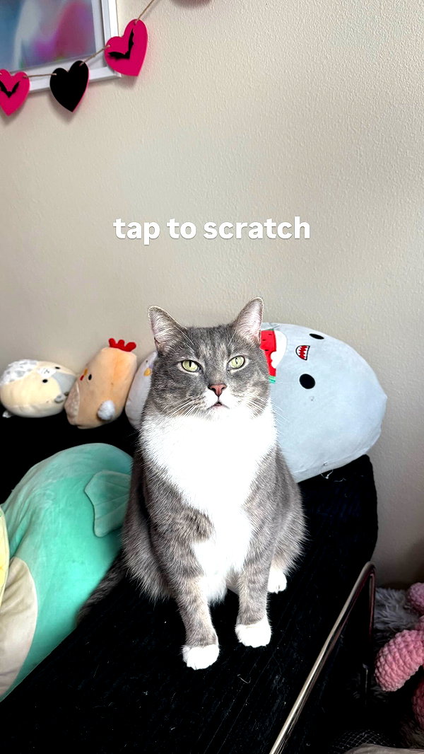 charleygrayyy instagram image archive image