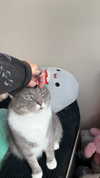 charleygrayyy Altpins Profile Picture