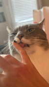 charleygrayyy Altpins Profile Picture