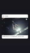 charli_xcx Altpins Profile Picture