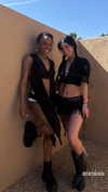 charlidamelio Altpins Profile Picture