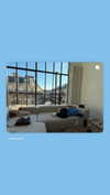 charlidamelio Altpins Profile Picture