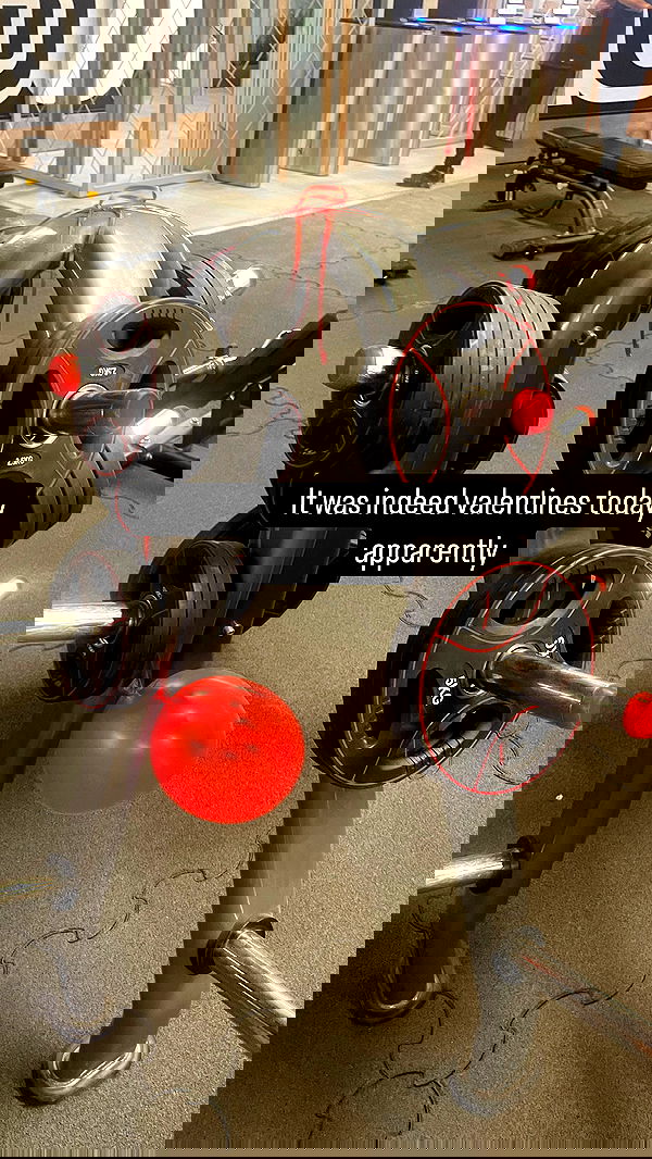 chibinekopurr chibinekopurr archive image