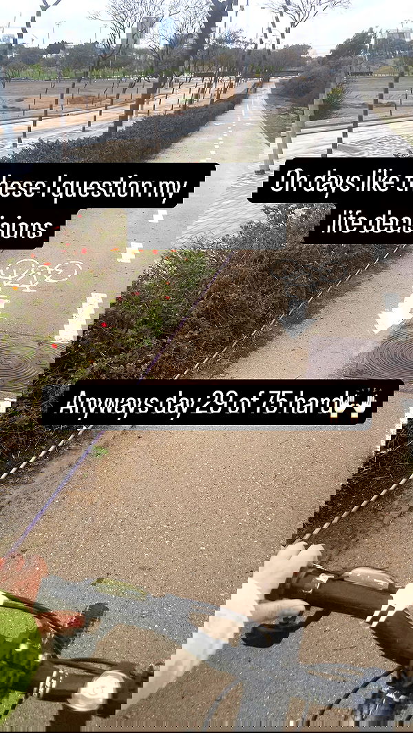 chibinekopurr chibinekopurr archive image