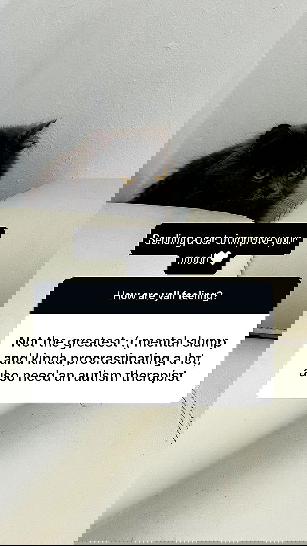 chibinekopurr chibinekopurr archive image