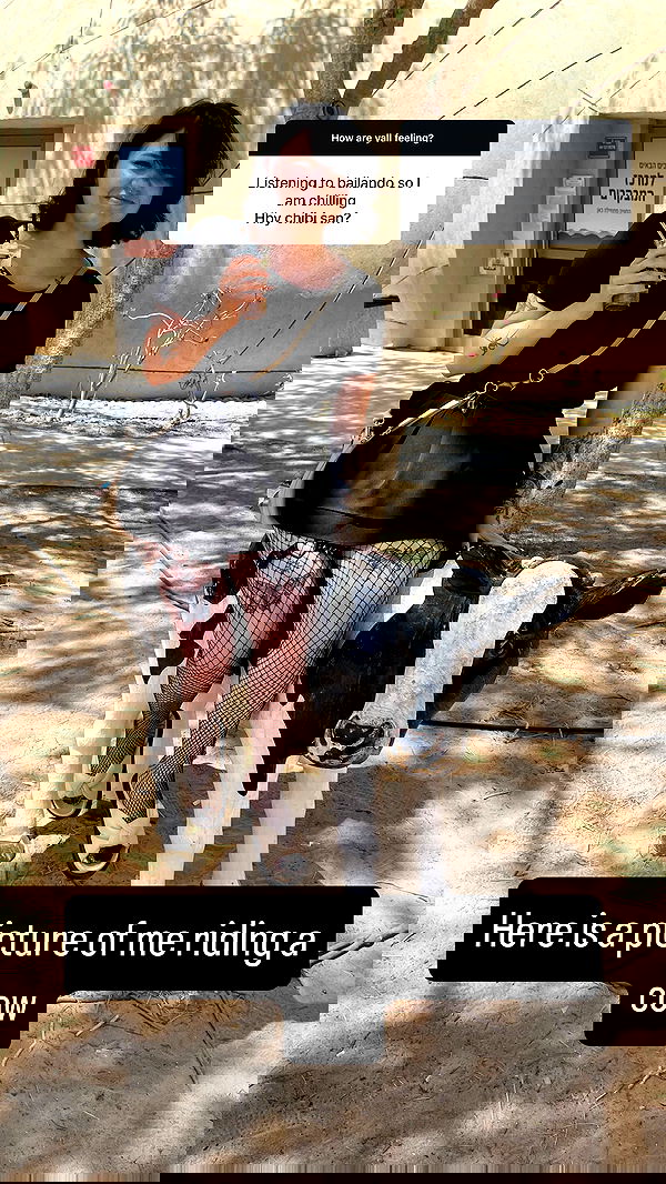 chibinekopurr chibinekopurr archive image