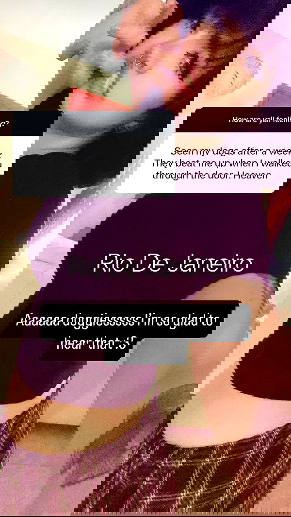 chibinekopurr chibinekopurr archive image