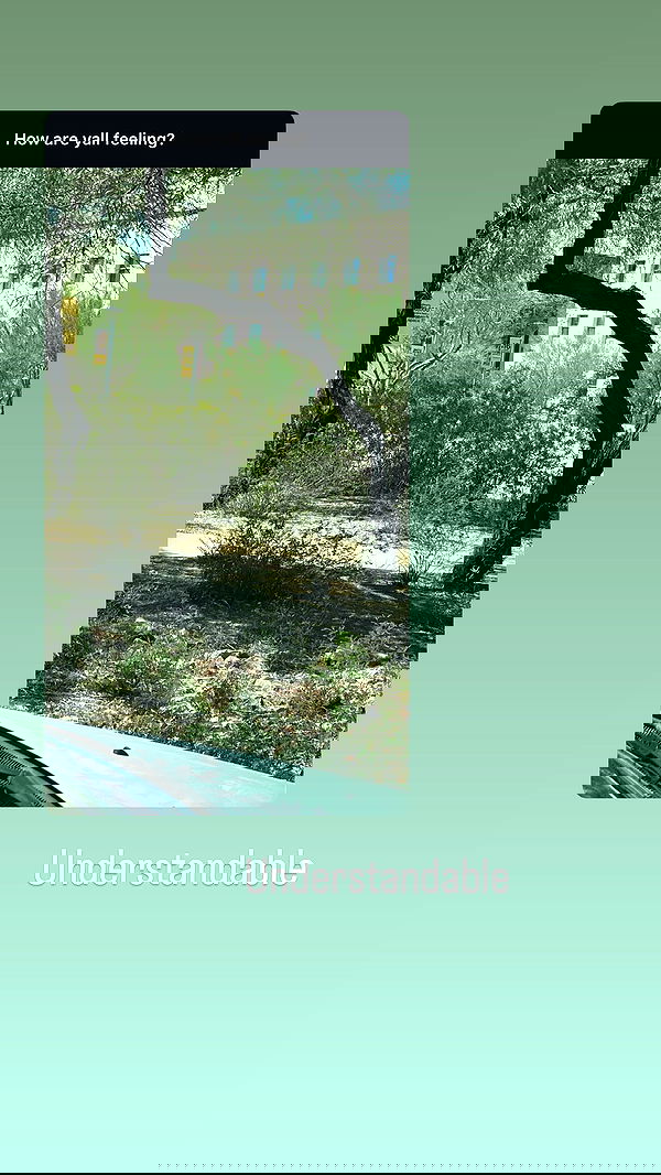 chibinekopurr chibinekopurr archive image