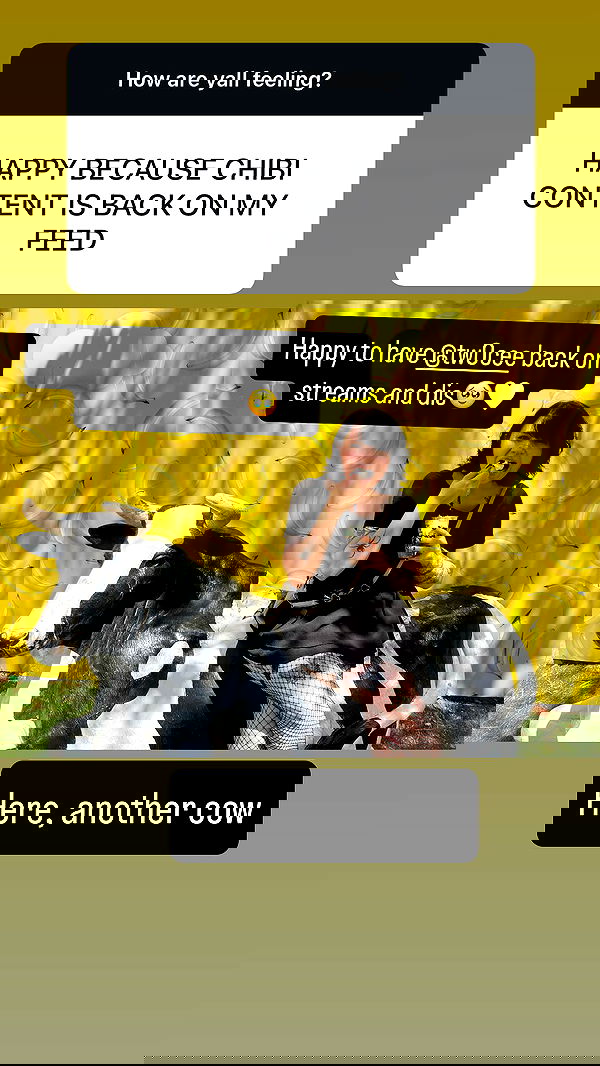 chibinekopurr chibinekopurr archive image