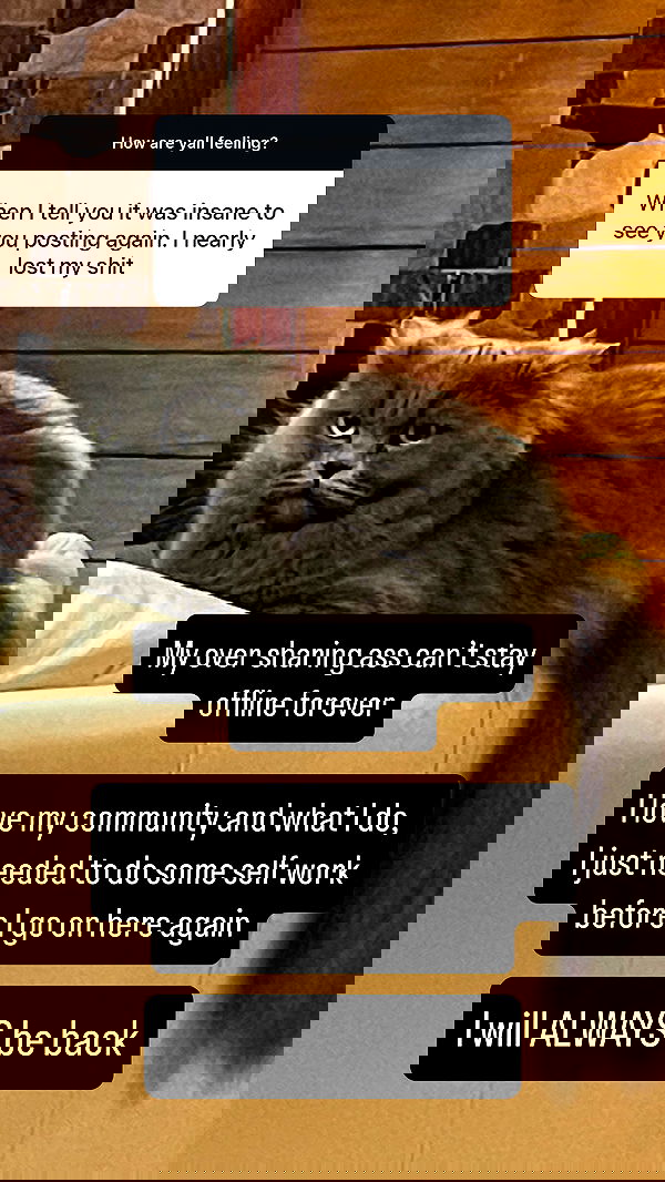 chibinekopurr chibinekopurr archive image